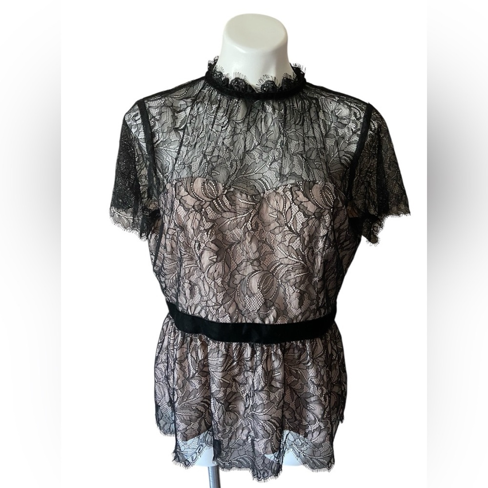White House Black Market Black Lace Peplum Blouse Size 14 Petite